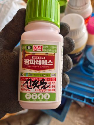 박웅길님의 고추 · 영농일지 작성글 사진