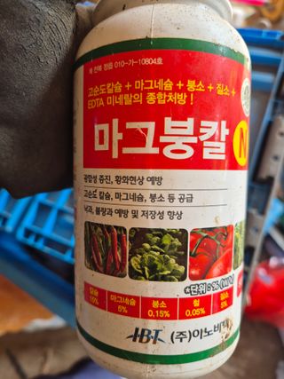 박웅길님의 고추 · 영농일지 작성글 사진