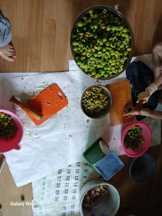 바위돌 심재성님의 기타작물 · 영농일지 작성글 사진
