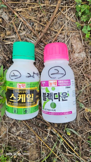 임상근님의 감 · 영농일지 작성글 사진
