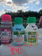 김진수님의 작성글 사진