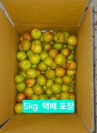 멧돼지님의 기타작물 · 영농일지 작성글 사진