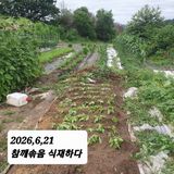 시민농장님의 작성글 사진