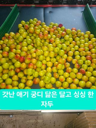 멧돼지님의 기타작물 · 영농일지 작성글 사진