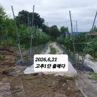 시민농장님의 기타작물 · 영농일지 작성글 사진