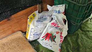 정금기님의 기타작물 · 영농일지 작성글 사진