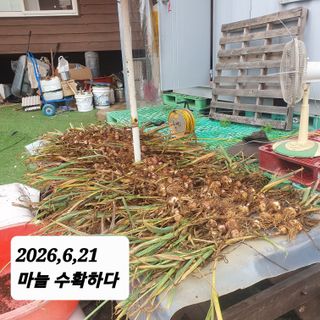 시민농장님의 기타작물 · 영농일지 작성글 사진