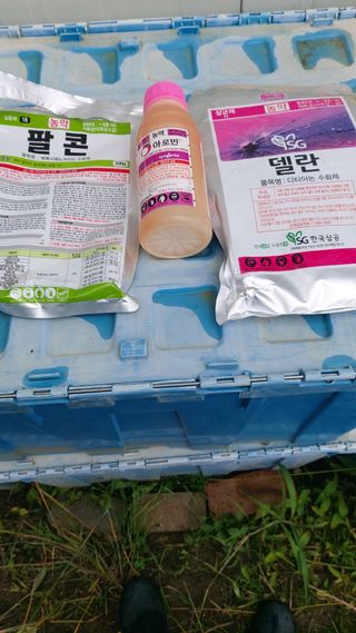 오동추님의 기타작물 · 영농일지 작성글 사진