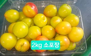 멧돼지님의 기타작물 · 영농일지 작성글 사진