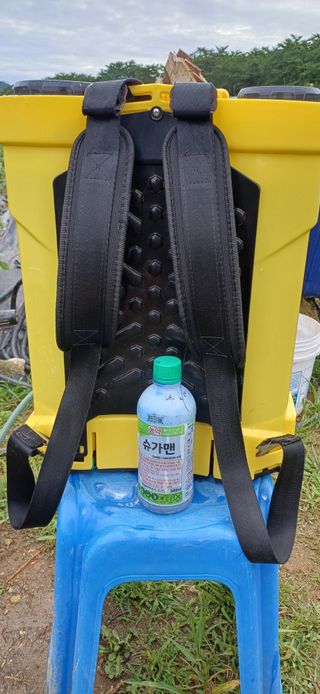 남궁봉님의 콩 · 영농일지 작성글 사진