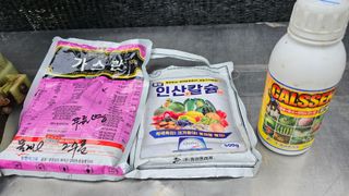 정금기님의 기타작물 · 영농일지 작성글 사진