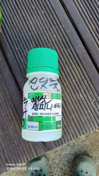 김긍연님의 감 · 영농일지 작성글 사진