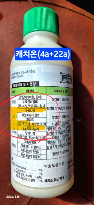 kia1588님의 귤 · 영농일지 작성글 사진