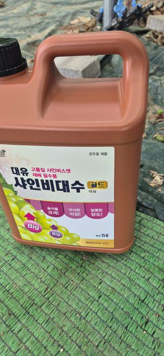 이화주님의 포도 · 영농일지 작성글 사진