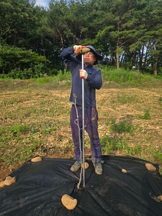 영춘아짐님의 기타작물 · 영농일지 작성글 사진