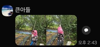 농업사랑 진영자님의 작성글 사진