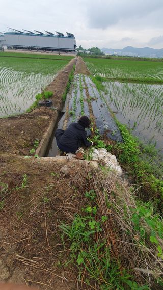 김광신님의 벼 · 영농일지 작성글 사진