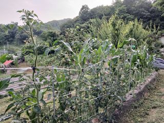 김홍중님의 작성글 사진