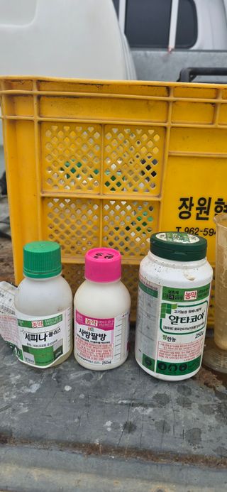 장동휘님의 기타작물 · 영농일지 작성글 사진