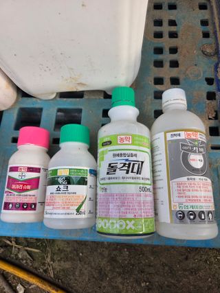 고재근님의 포도 · 영농일지 작성글 사진