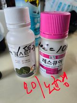 藝園님의 작성글 사진