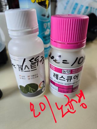 藝園님의 오이 · 영농일지 작성글 사진