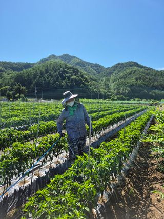 강윤석님의 기타작물 · 영농일지 작성글 사진