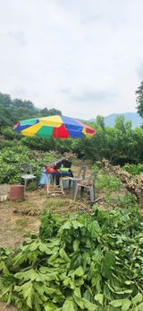 최군환님의 작성글 사진