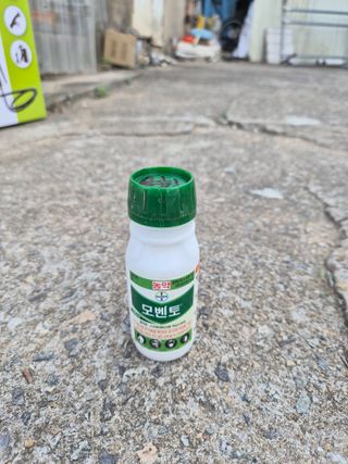 안일봉님의 기타작물 · 영농일지 작성글 사진