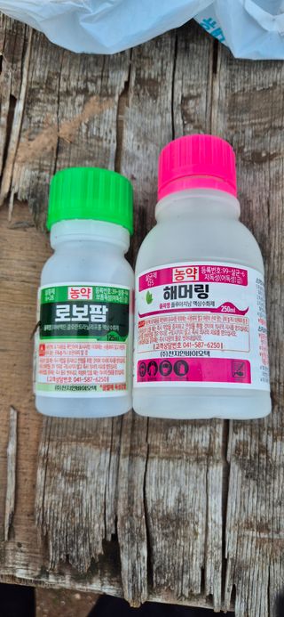 정진필님의 기타작물 · 영농일지 작성글 사진