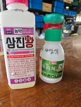 윤영진님의 작성글 사진