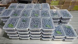 축복의땅 에덴동산님의 기타작물 · 영농일지 작성글 사진
