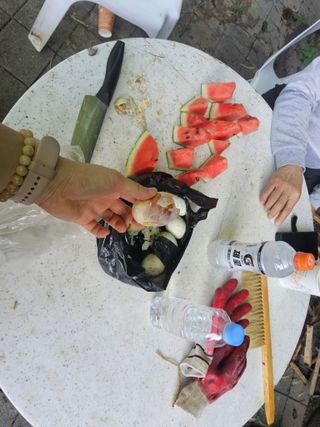 발해인님의 기타작물 · 영농일지 작성글 사진