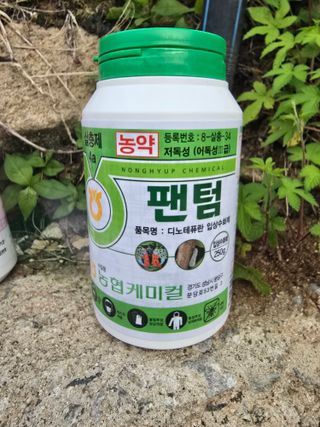 조정미님의 사과 · 영농일지 작성글 사진