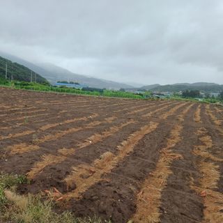 正覺님의 기타작물 · 영농일지 작성글 사진