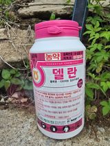 조정미님의 작성글 사진