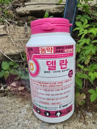 조정미님의 사과 · 영농일지 작성글 사진
