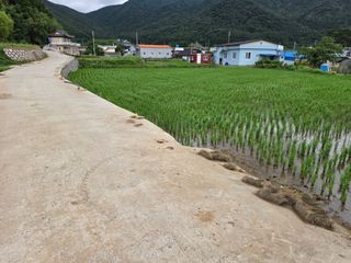 포도21693님의 고구마 · 영농일지 작성글 사진