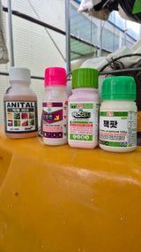 팜모닝 포도·영농일지 게시글 이미지