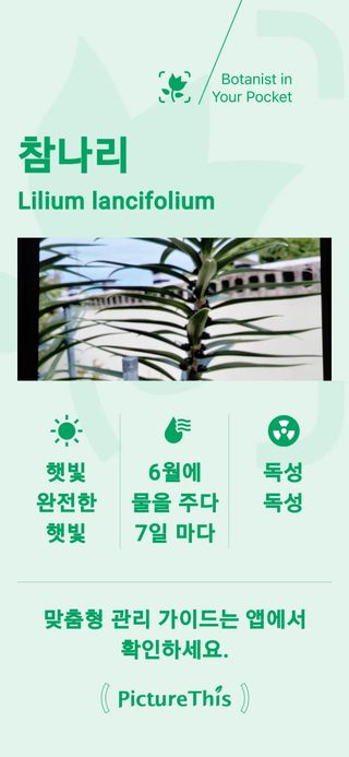 양파4924님의 기타작물 · 영농일지 작성글 사진