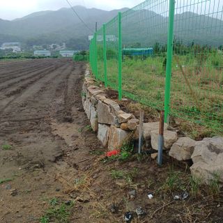 正覺님의 작성글 사진