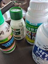 팜모닝 고추·영농일지 게시글 이미지
