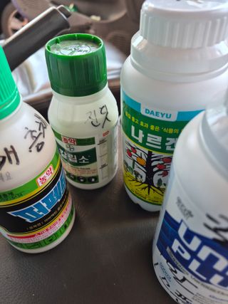 김영숙님의 고추 · 영농일지 작성글 사진
