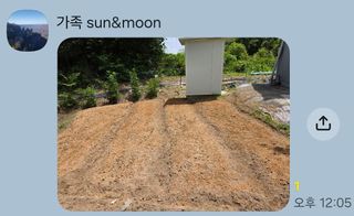 어명순님의 기타작물 · 영농일지 작성글 사진