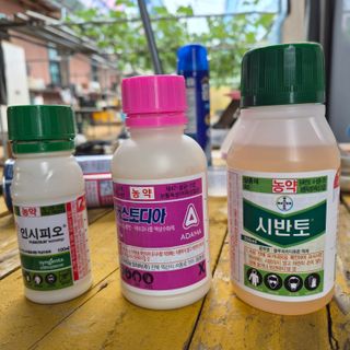 행복을찾는이님의 포도 · 영농일지 작성글 사진