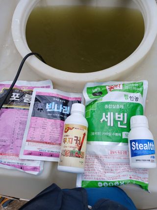 조성민님의 감자 · 영농일지 작성글 사진
