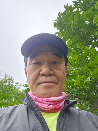 정규환님의 감 · 영농일지 작성글 사진
