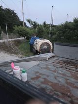 백운농원 님의 작성글 사진