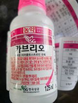 팜모닝 귤·영농일지 게시글 이미지