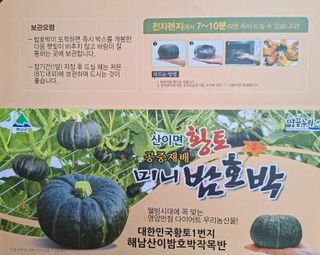 kobayashi naoko님의 호박 · 영농일지 작성글 사진